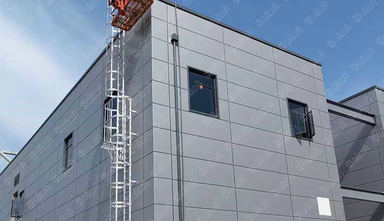 Aluminum Caged Ladder